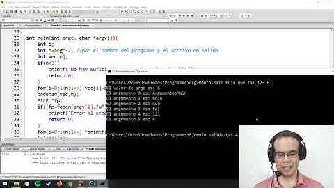 Argumentos del main en C