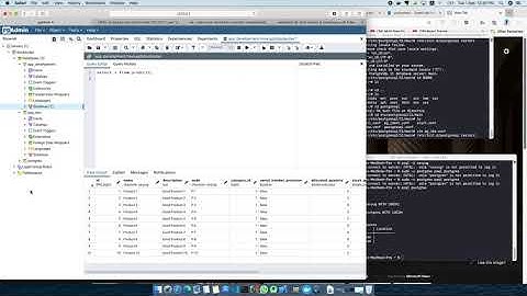 PGAdmin4 with Postgresql in Docker Installed.