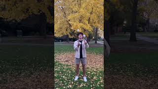 3 Ball Shower
