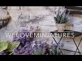 How to make miniature lavender