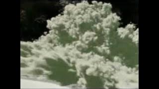Urban Species - Destruction
