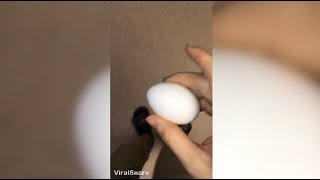 YMCA Egg Cracked On Girls Head
