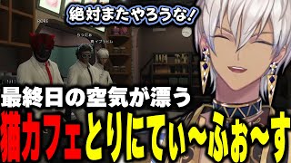 MADTOWN】1日目なのに最終日の空気が漂う猫カフェとりにてぃ～ふぉ～す