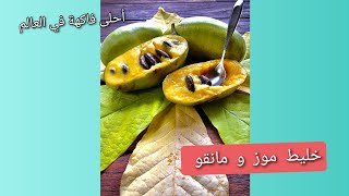 زراعة شجرة الباوباو pawpaw من البذور ، how to grow pawpaw from seeds