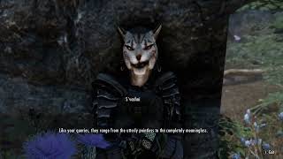 3DNPC Skyrim The Way of the Nine 4k60H Part 1