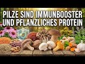Pilze Stärken Das Immunsystem – Pflanzliches Protein Pur