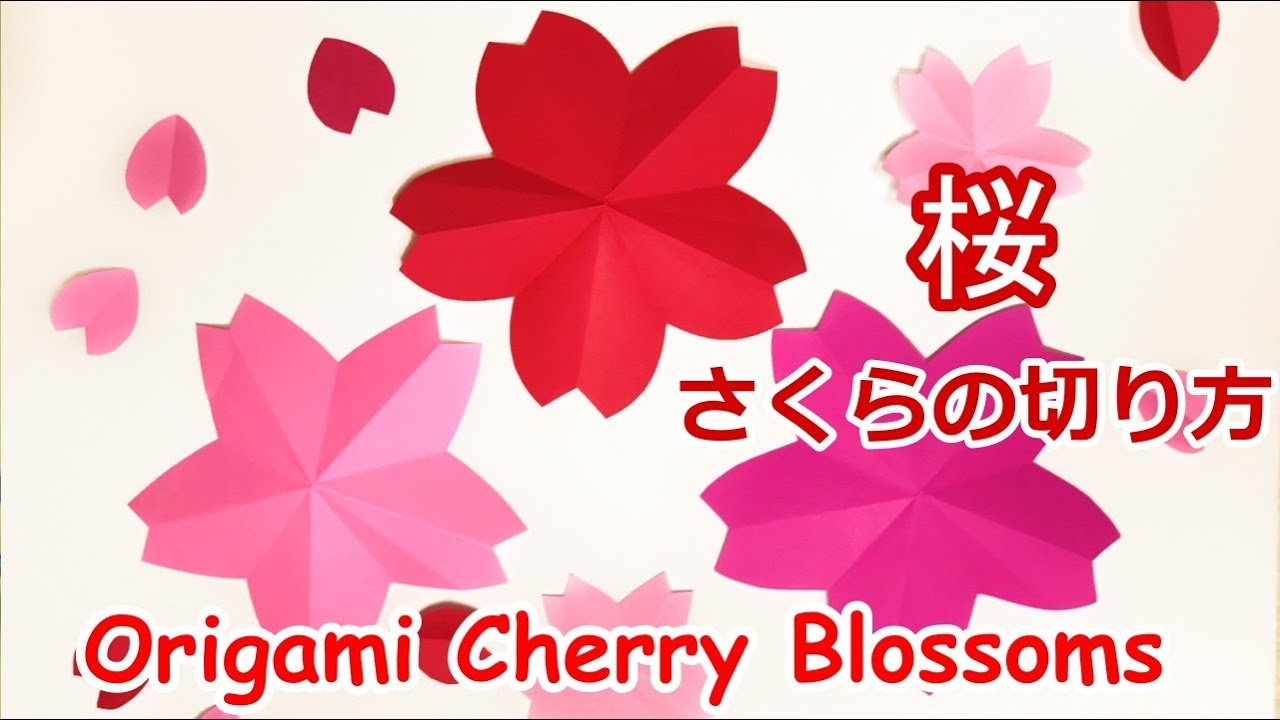 春の折り紙 桜の花びら折り紙１枚で16個に切る方法音声解説付 Origami How To Cut Cherry Blossom Petals Youtube