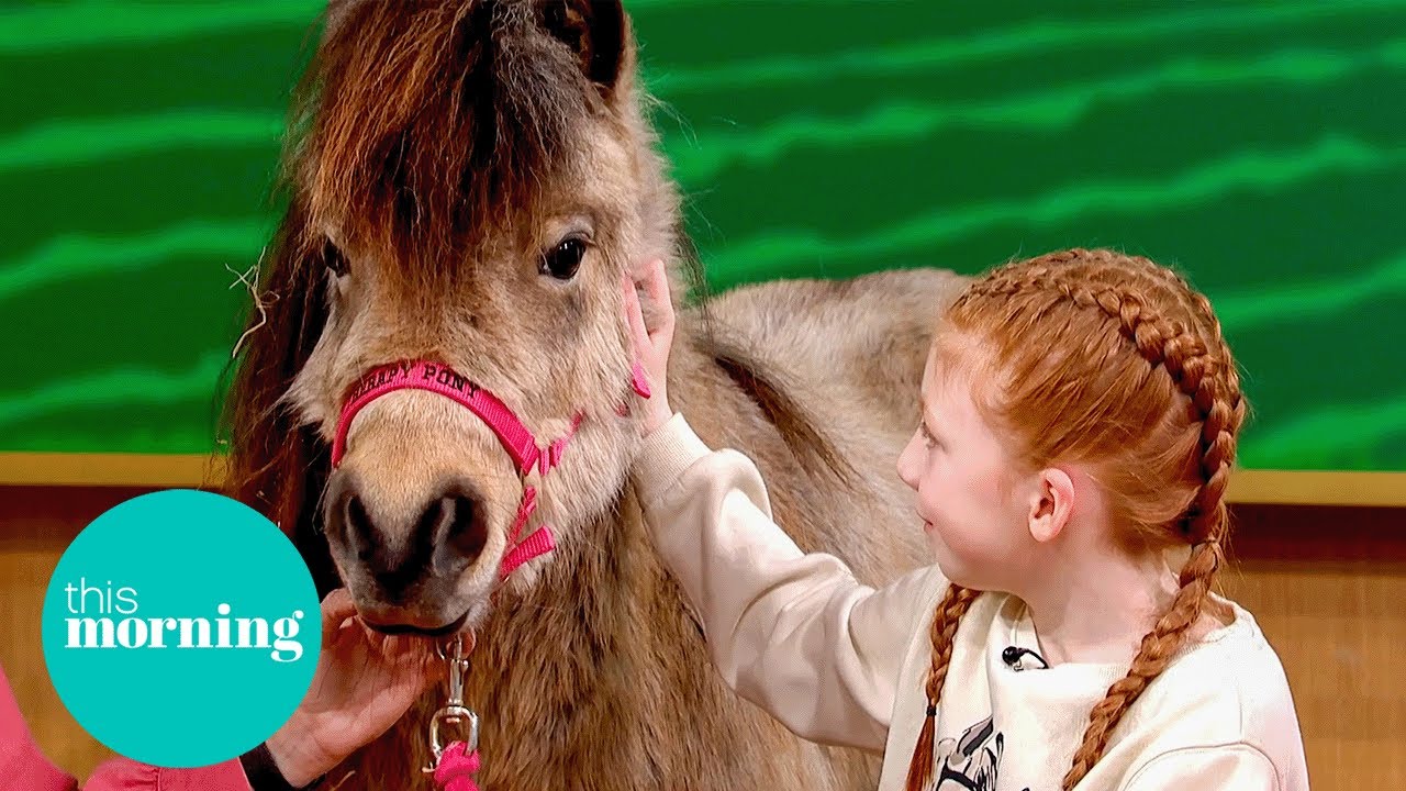 Meet the Therapy Ponies Spreading Joy Across the UK | This Morning