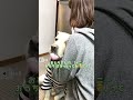 さしより ぎゅ〜🐶💕