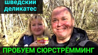 Первый раз пробуем сюрстрёмминг! Деликатес из Швеции!