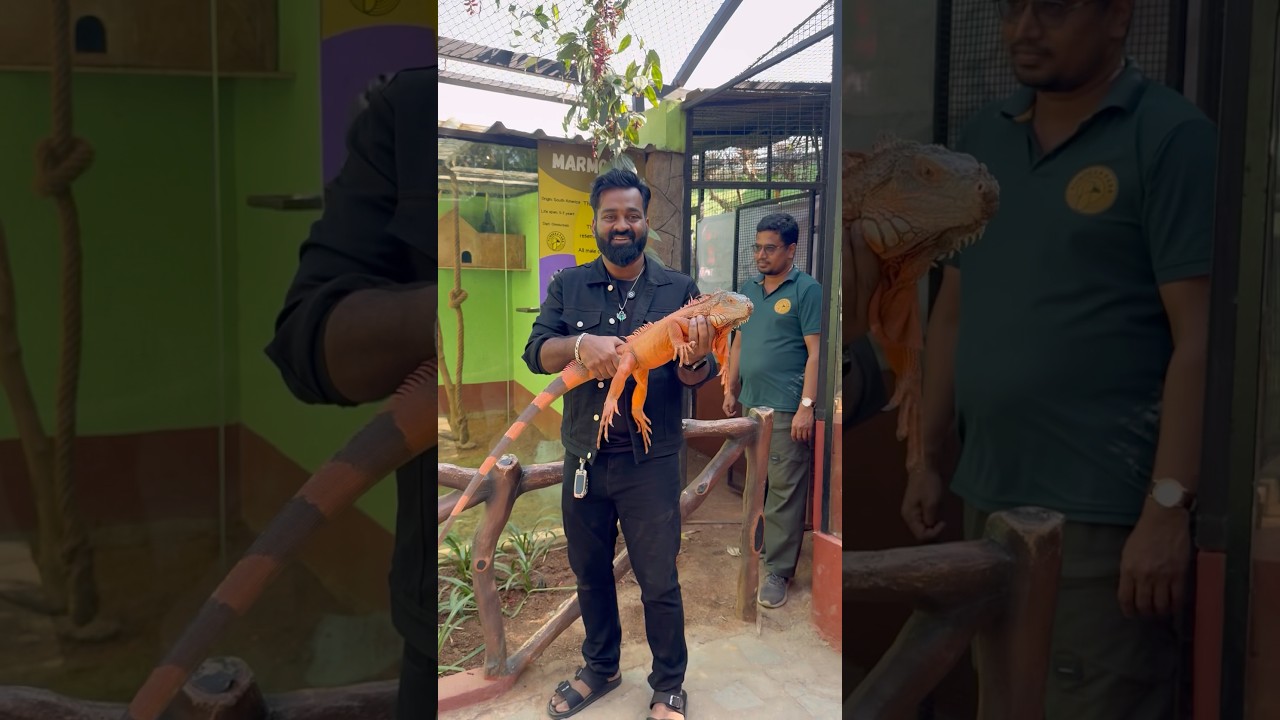 பாக்கவே பயங்கரமா இருக்கே🤣😂 #shorts #funny #love