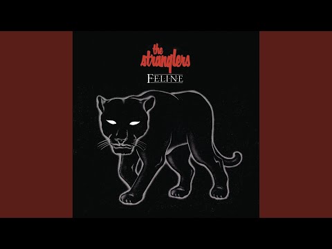 Putar Never Say Goodbye - The Stranglers