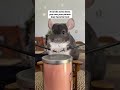 Its soo funy