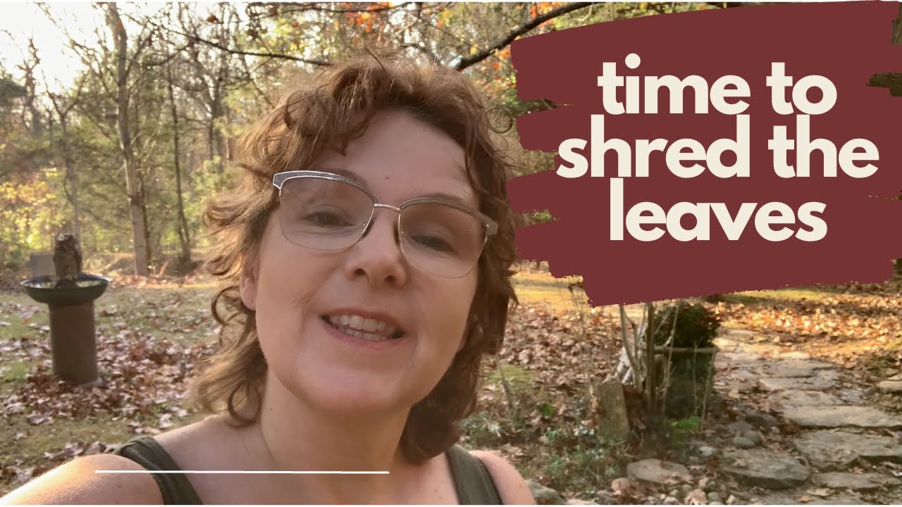 November Garden Tasks – What’s on My To-Do List? // Garden Vlog