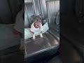 Funny Dogs #Funny #Cute #Dogs #Pets #Trending #ForYou #TikTok