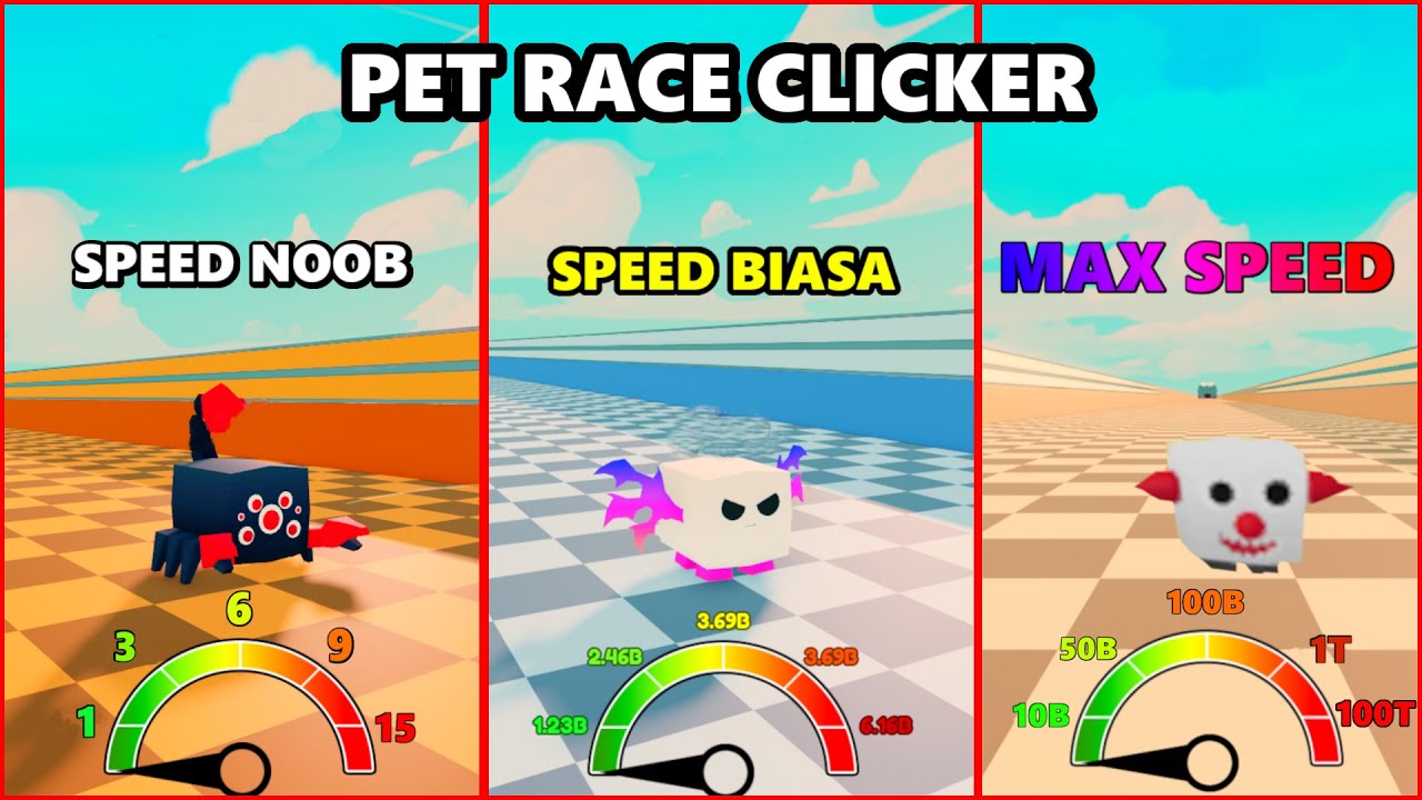 Pet racer