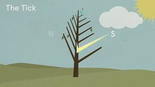 Tips and Tricks from the Natural Navigator: The Tick Effect