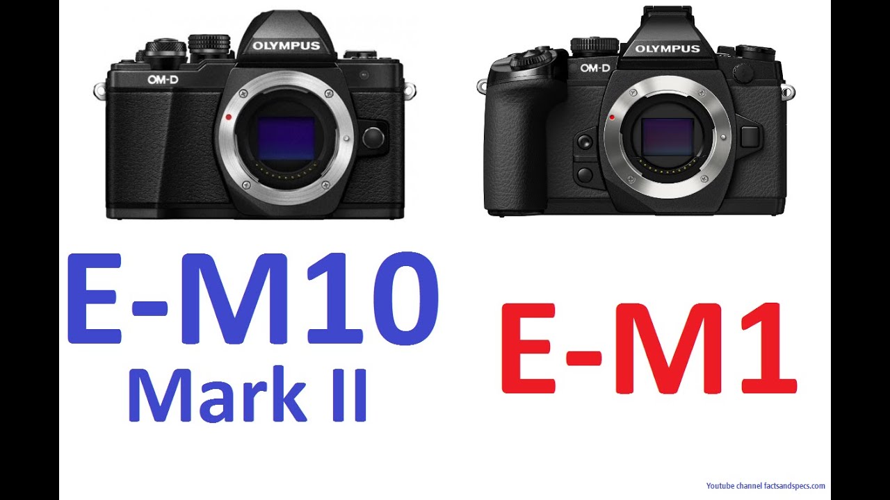 Olympus OMD EM10 Mark II vs Olympus OMD EM1 YouTube