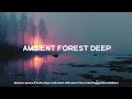 Deep Work Music - Ambient Forest Fog &amp; Sunset Beats for Ultimate Focus