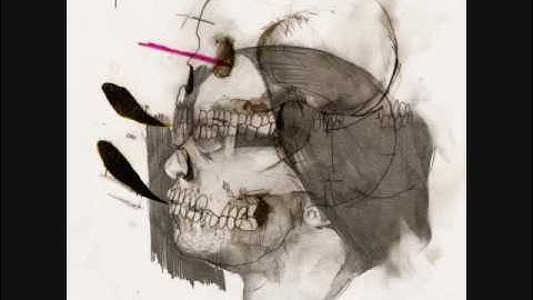 P.O.S - Optimist (We Are Not For Them)