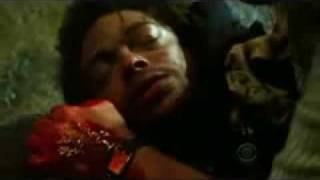 CSI Gift of Warrick