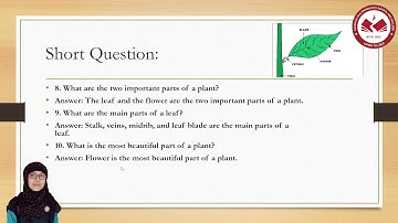 FDASC ǀ Class : Two ǀ Science ǀ 1st Semester Syllabus Overview ǀ By Ms. Maimuna Hassan