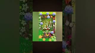 best profile pictures for whatsapp facebook instagram #muslimah #muslim