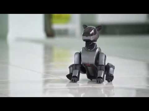 Sony AIBO - ERS210 Dance Routine