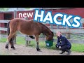 Testing useful horse hacks