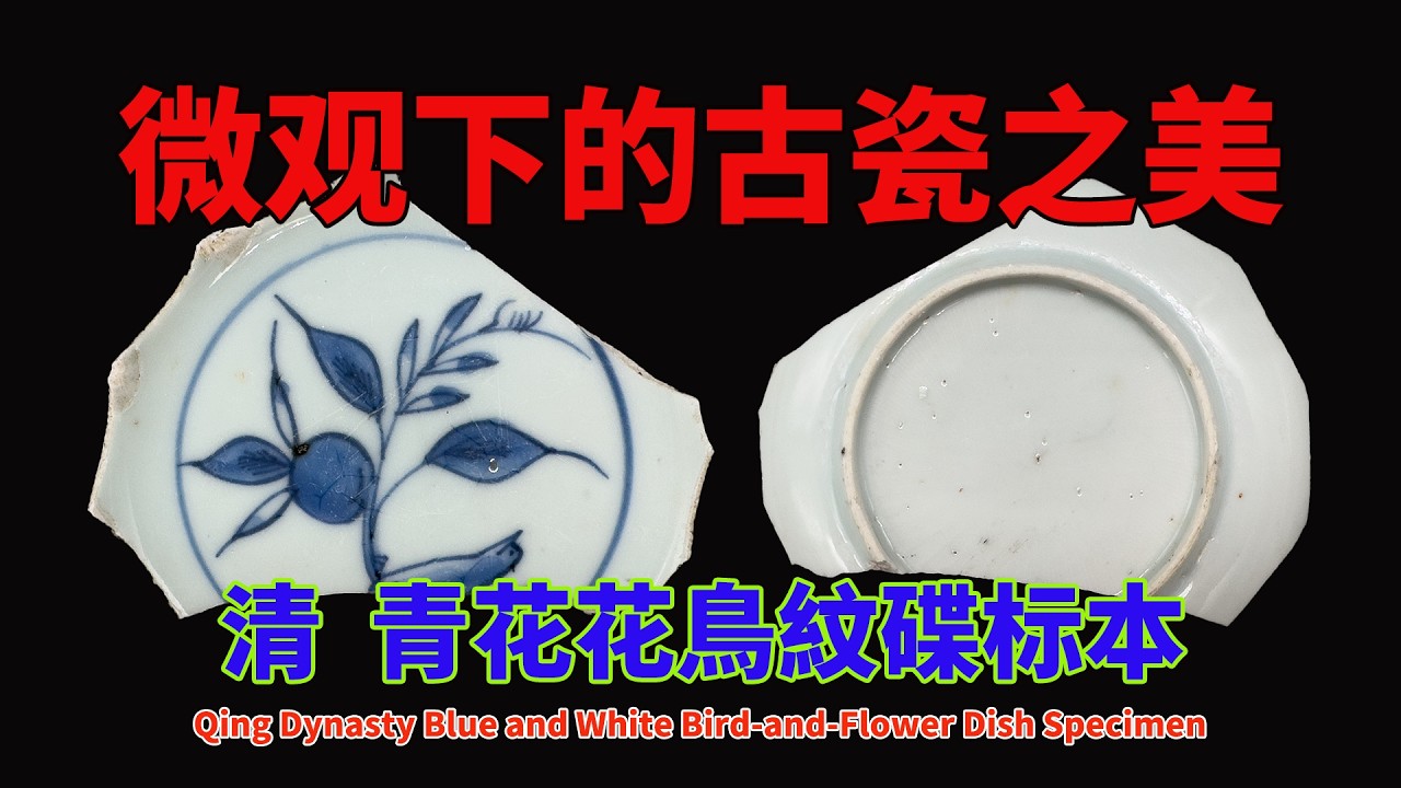 清青花花鳥紋碟标本- Qing Dynasty Blue and White Bird-and-Flower