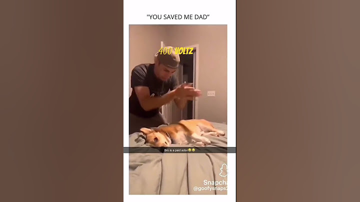 Dad Saves Corgi w 400 Voltz #Animal #Corgi #Funny #Laugh #Comedy #dad #MansBestFriend #TrentBedding