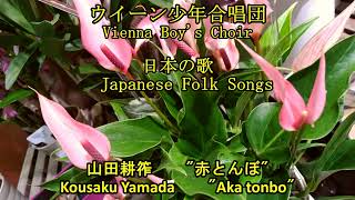 ウィーン少年合唱団　日本の歌　赤とんぼ　　Vienna Boy's Chair   "Japanese Folk songs"