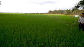 WP 20150720 17 59 30 Pro