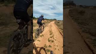 Ruta BTT -Alzira -Sendas de Tous(Jolepy)