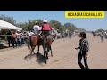 Mira lo que le pasa a esto jockey y aun así va y gana la carrera. La Sombra Vs la gallina avada