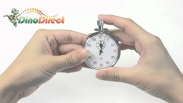 Diamond 505 Sport Mechanical Timer Stopwatch  from Dinodirect.com