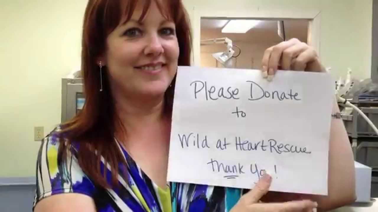 Copy of James Askew presents "Osprey repair with sponsors" YouTube