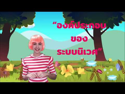 องค์ประกอบของระบบนิเวศ ม.3