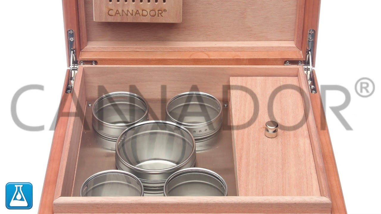 Cannador 5 Strain Cannabis Humidor