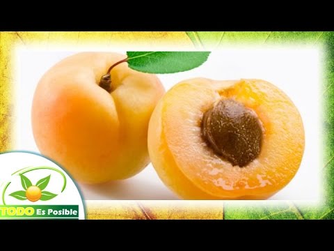 beneficios y propiedades del albaricoque - fruta albaricoque calorias camera iphone 8 plus apk