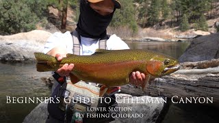 Beginner's Guide to Fishing Lower Cheesman Canyon | Fly Fishing Colorado for Trophy Trout | 4K Video