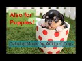 Calming music for anxious dogs - Puppy Sleep Music - 1 hour relaxing dog music