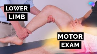 Motor Assessment of the Lower Limbs - OSCE Guide | UKMLA | CPSA