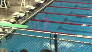 Section 1AA Diving Finals 22Feb2014