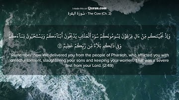 وإذ نجيناكم من آل فرعون يسومونكم - سورة البقرة - الشيخ عبد الباسط عبد الصمد - حالات واتس - قرآن كريم