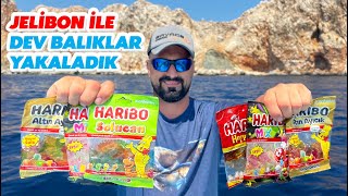 Jelibonla Dev Balıklar Yakaladık / Fishing With Haribo