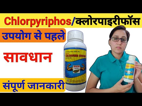 Chlorpyriphos uses | chlorpyrifos 50ec uses | chlorveer strong |chlorpyriphos 50 + cypermethrin 5