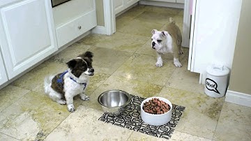 Award-Winning DCS-942L - mydlink cloud Wireless-N 300 H.264 Infrared IP Camera