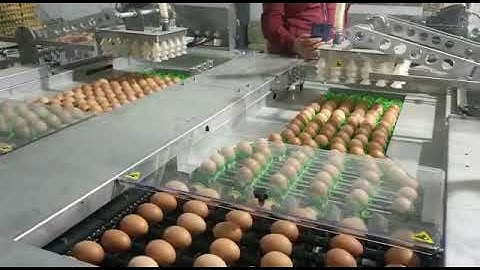 Damtech E-Grader 80 After Installation