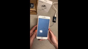 How To Particle Argon Setup